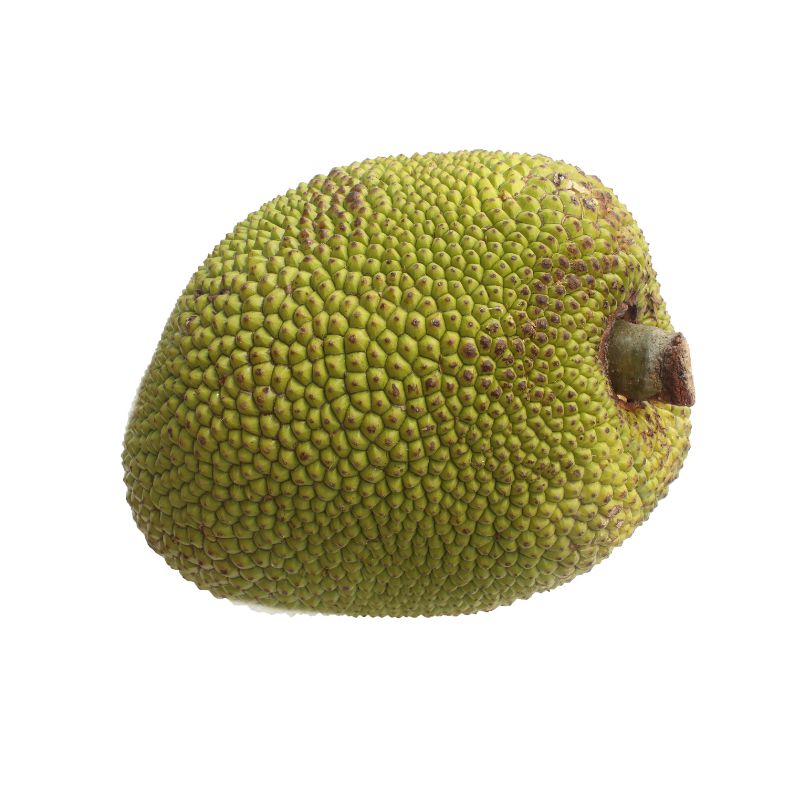 Mít nghệ (nguyên trái)